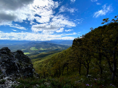 Green spring nature flourishing towards Mountain top. Blue sky with clouds over layers of green...