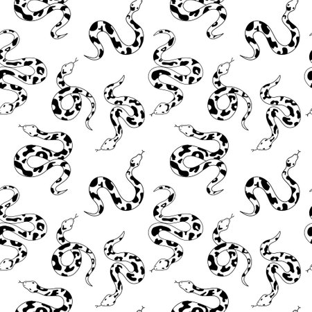 Various snakes of different patterns doodle setのイラスト素材