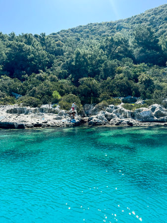Bright tropical water near rocky shore with lush greenery at middayの写真素材