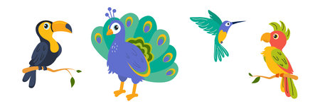 Colorful illustrations of exotic birds on branches in a whimsical styleのイラスト素材