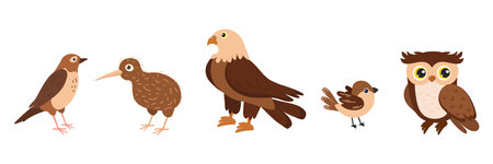 A lineup of five different birds illustrated in a cartoon style