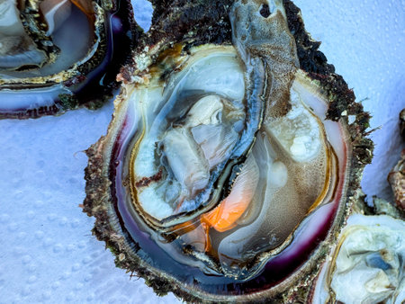 Freshly harvested oysters displayed on a table with natural textures and colors