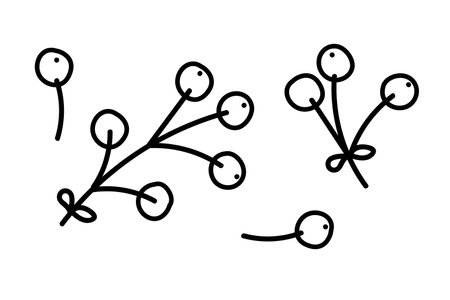 Simple line drawing of abstract plant branches with circular budsのイラスト素材