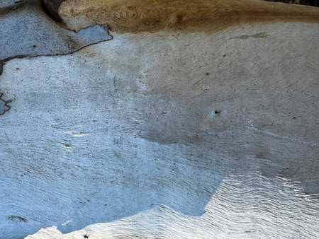 Natural patterns on a rock surface showcase unique textures and colors in outdoor settingの写真素材