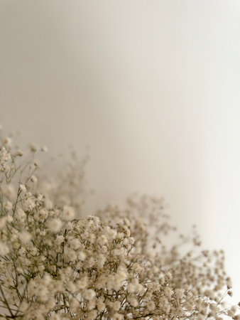 Delicate white flowers create a calming atmosphere in a serene indoor settingの写真素材