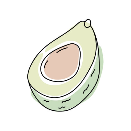Freshly sliced avocado showing creamy texture and smooth inner flesh in a vibrant illustrationのイラスト素材