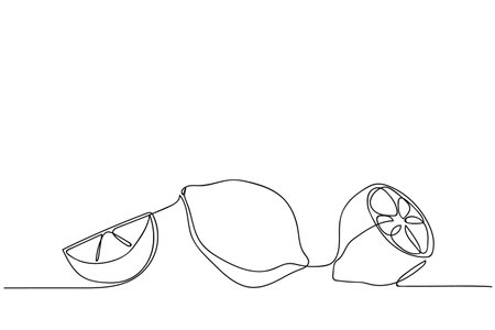 Continuous line drawing of lemons and lime on a plain background showing simplicity and eleganceのイラスト素材