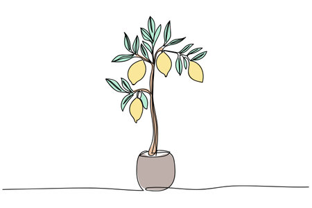 Decorative lemon tree in a simple pot with fresh lemons on branchesのイラスト素材