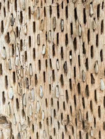 Detailed view of textured wood featuring natural holes and grooves from aging processの写真素材