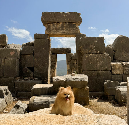 Dog explores ancient ruins under a clear blue sky in a historic location