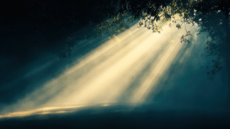 Sunlight beams through trees in a peaceful forestの素材