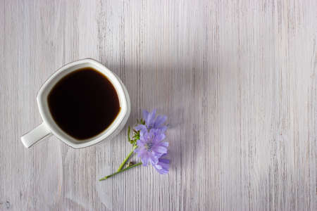 White cup of chicory drink or coffee with chicory flowers on  white woodenの写真素材