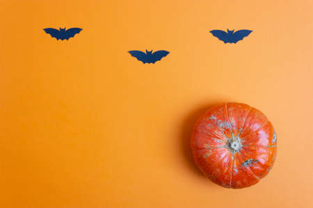 Halloween paper bats and pumpkin on orange background. Top view. Copy space. Halloween concept.