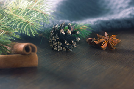 Pine cone and traditional Christmas spices for desserts or hot drinks cinnamon and anise on dark wooden background, copy space.の写真素材