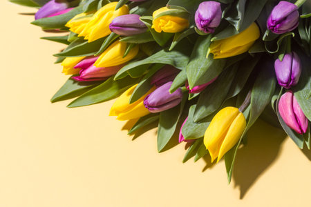 Colorful spring tulips on a light yellow background. Place for text.