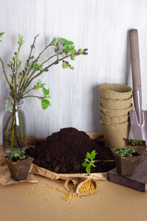 Seeds for planting, soil, scoop for seedlings. Preparation for planting seeds in the ground,...