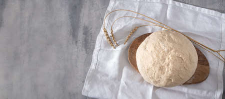 Fresh homemade wheat dough ready for baking self-made bread or pizza at home, ears of wheat near on the table. Top view, banner.の写真素材