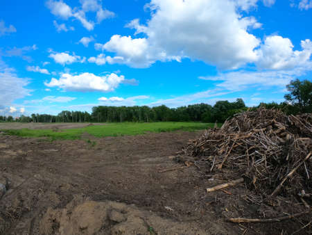 Landfill of felled trees. Logs lie at a construction site.