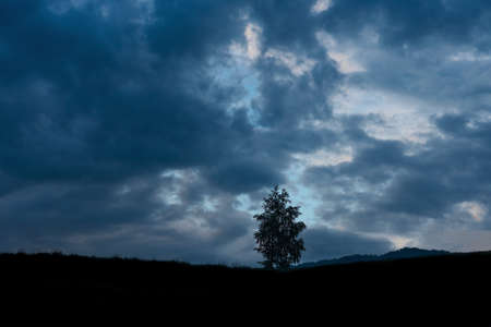 Blue night with moonの写真素材