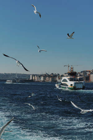 Seagulls fly behind a passenger liner. A flock of birds flies over the sea in the port.の写真素材