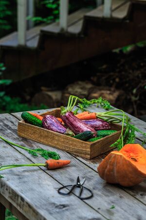 Group of Colorful vegetables on a basket. Garden wooden table.の写真素材