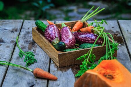 Group of Colorful vegetables on a basket. Garden wooden table.の写真素材