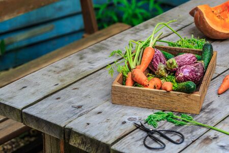 fresh organic vegetables in wood basket on wooden floor with copy space.の写真素材