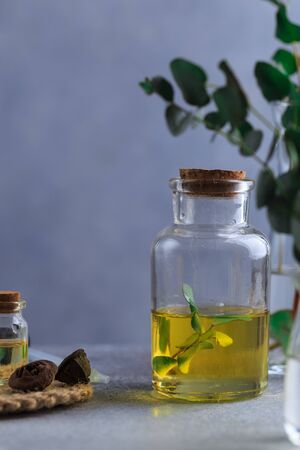 Set of glass bottles with eucalyptus essential oil on grey table leaves in vaseの写真素材