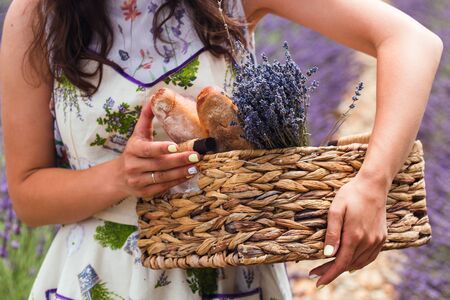 A girl stands in the middle of a lavender field, holding in her hands a basketの写真素材