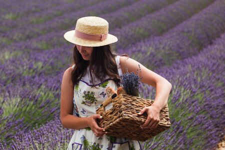 A girl stands in the middle of a lavender field, holding in her hands a basketの写真素材