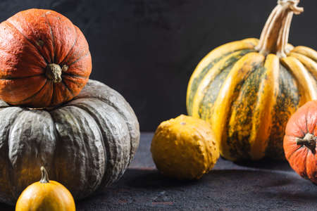 Autumn still life with pumpkins. Studio photoの写真素材