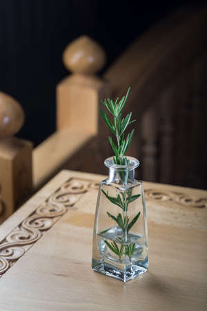 Fresh sprig of rosemary in a jarの写真素材