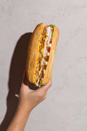 woman hand holds sandwich on grey wall hard shadows. Sandwich promotion conceptの写真素材