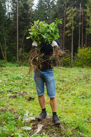 planting tree concept. young man takes oaks in hand ready to plant in the forestの写真素材