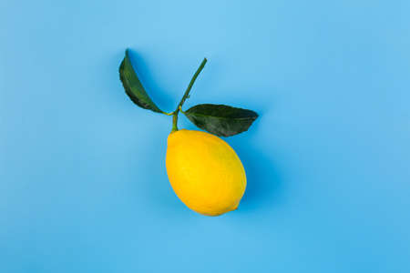 One fresh yellow lemon with green leaves on a blue flat layの写真素材