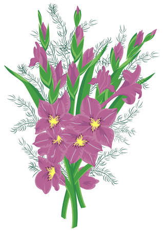 Illustration of bouquet of lilac gladioluses のイラスト素材