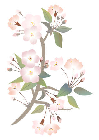 Illustration of abstract apple tree branch のイラスト素材
