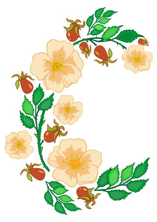 Illustration of abstract tea roses frame isolatedのイラスト素材