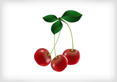 Illustration of three cherries with leaves and background