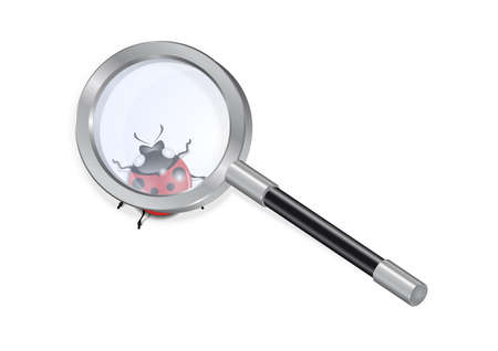Illustration of magnifying glass and ladybird isolatedのイラスト素材