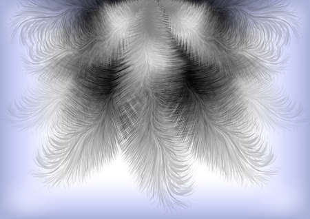 Illustration of abstract background with feathers in black, white and grey colorsのイラスト素材