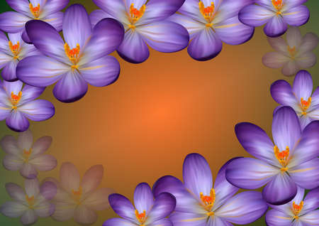 Illustration of colorful frame from crocuses with backgroundのイラスト素材