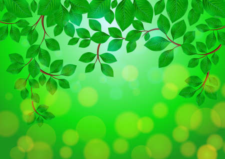 Illustration of green leaves with bokeh background in yellow, blue and green colorsのイラスト素材