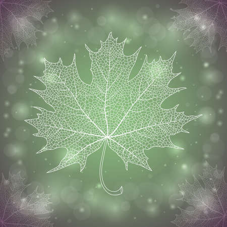 Illustration of maple leaf outlines on glittered backgroundのイラスト素材