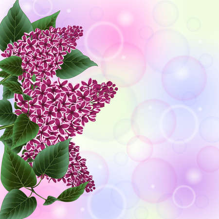 Illustration of lilac flowers border with bokeh backgroundのイラスト素材