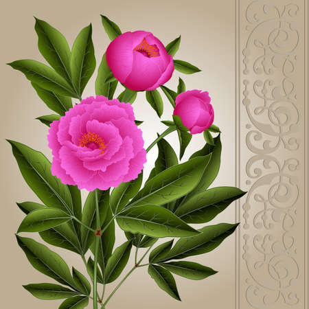 Illustration of greeting or invitation card template with peony flowers and ornamental borderのイラスト素材