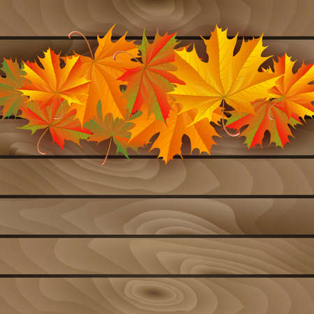 Illustration of colorful autumn maple leaves on wooden wallのイラスト素材