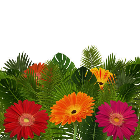 Illustration of greeting or invitation card template with gerbera daisy flowers and palm leaves isolated
のイラスト素材