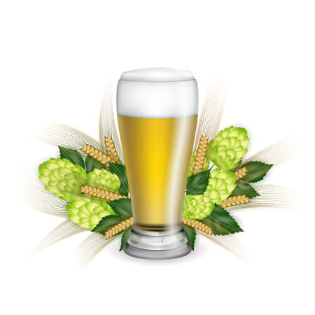 Illustration of beer mug with light beer and hop cones isolatedのイラスト素材
