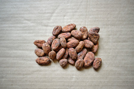 Close-up image of a pile of dry cocoa beans (seeds of the cacao tree) on a rough paper. Perfectly...